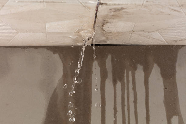 Professional Water Damage Inspection technician working in Fort Defiance, AZ